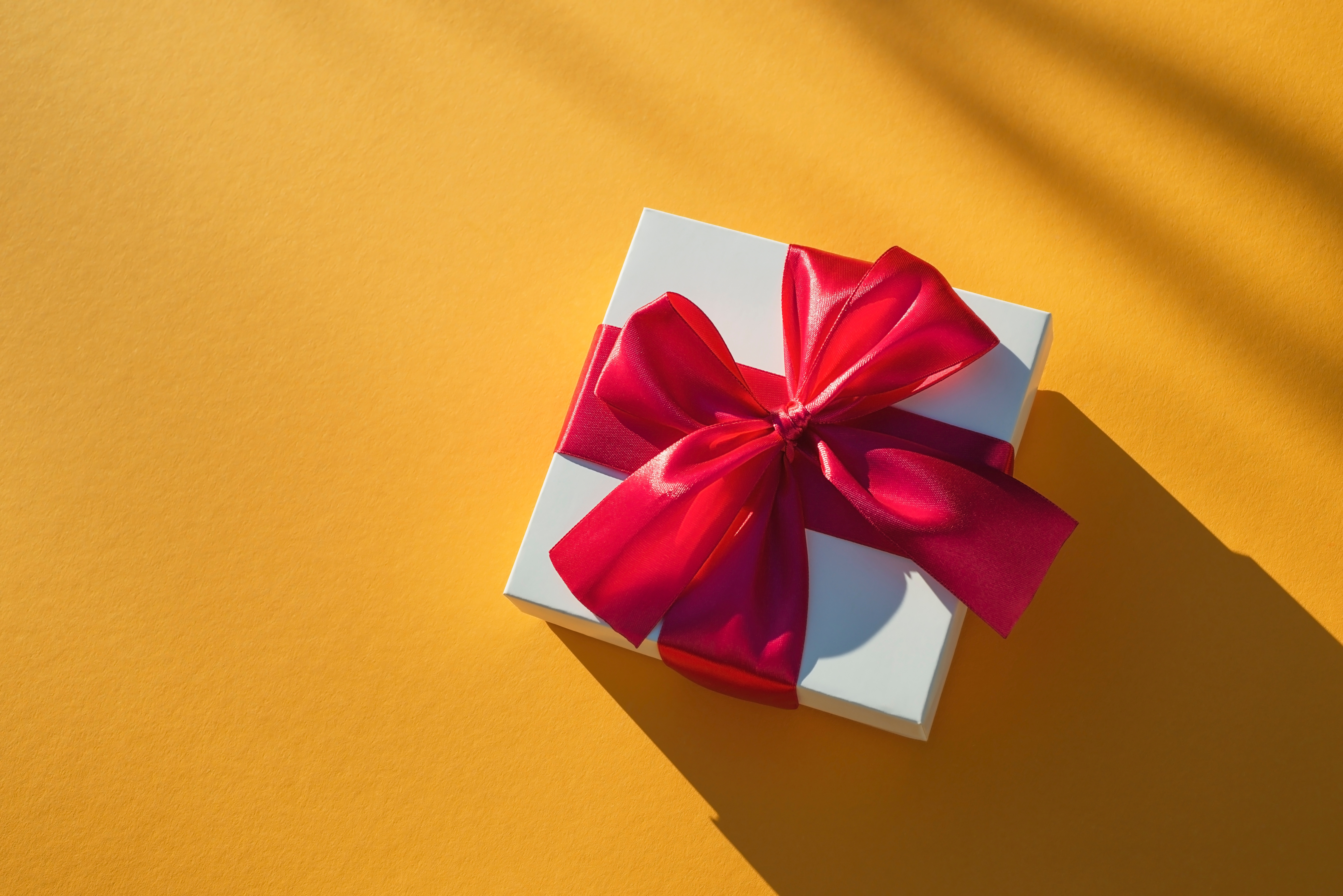 Shutterstock 2067444260